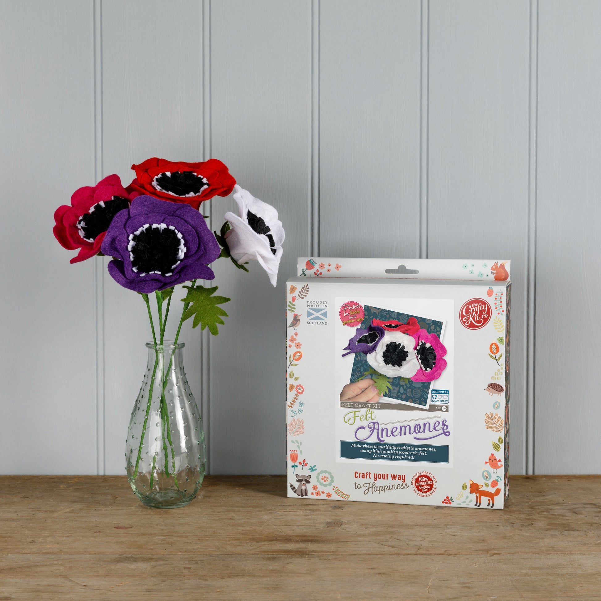 Anemones and kit box image