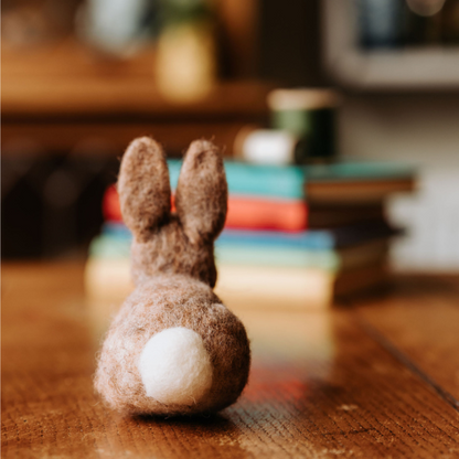 Baby Bunny Needle Felting Craft Kit