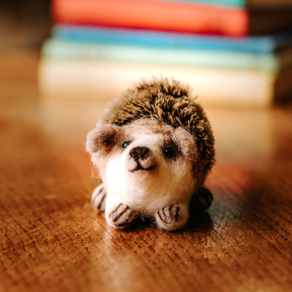 Baby Hedgehog Needle Felting Craft Kit